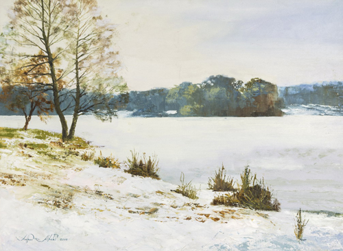 Выставка живописи Николая Синякова «МОЙ выбор»