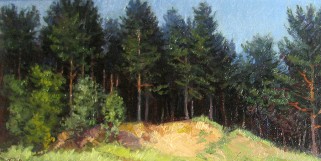 Картины Явича