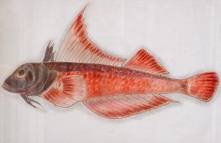 Выставка Мифы и реальность