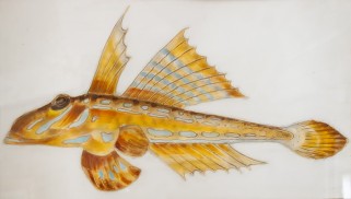 Выставка Мифы и реальность