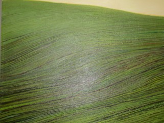 МОЙ выбор - Выставка Синякова