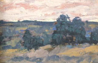 МОЙ выбор - Третья выставка Синякова