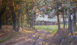 МОЙ выбор - Третья выставка Синякова