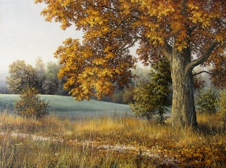 Выставка - Сваё неба