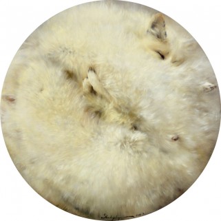 Выставка Алеси Скоробогатой