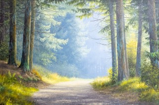 Выставка Стаин