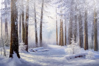 Выставка Стаин