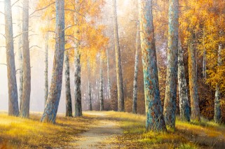 Выставка Стаин